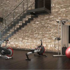 life fitness gym equipment