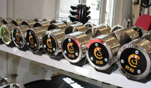 watson pro dumbbells