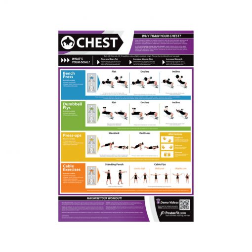 PosterFit Chest Chart
