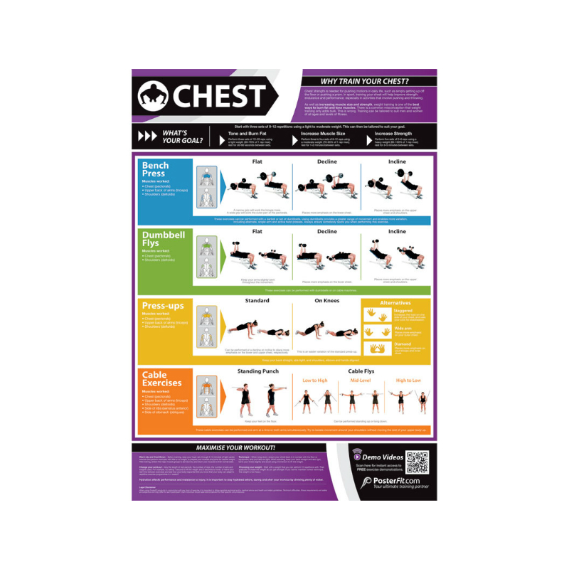 PosterFit Upper Body Stretching Chart on Sale at Gym Marine