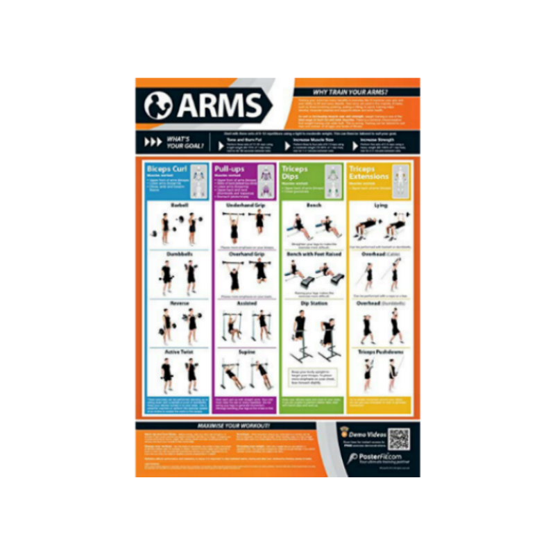 arm exercises chart for women