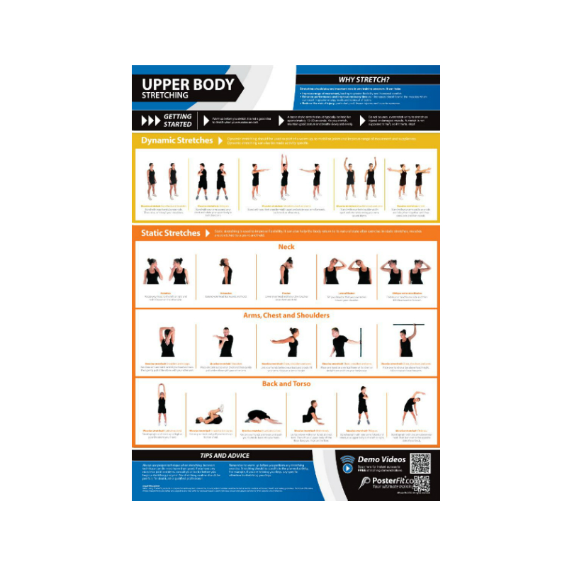 PosterFit Upper Body Stretching Chart on Sale at Gym Marine