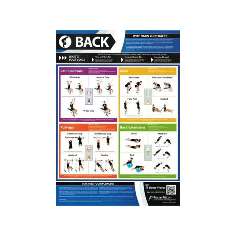 Lat Pulldown Weight Chart