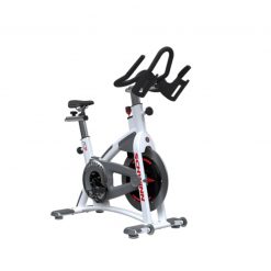 Schwinn AC Performance