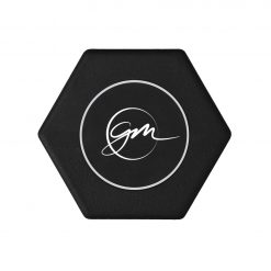 GM Logo