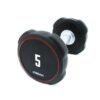 Jordan Ignite V2 Urethane Dumbbells